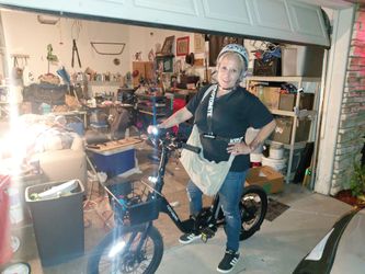 Retrospec electric bike