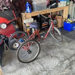Three Wheel Bicycle 
