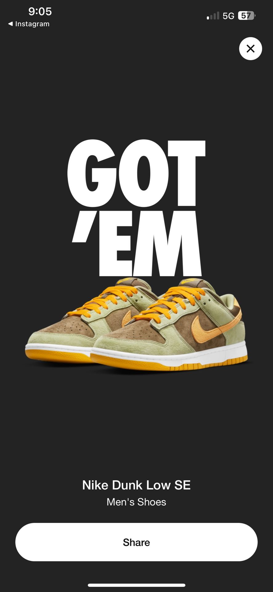 Nike Dunk Olive
