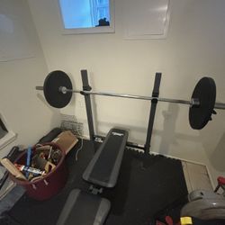 Work Out Bench
