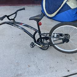 Tag-along Kid Bike