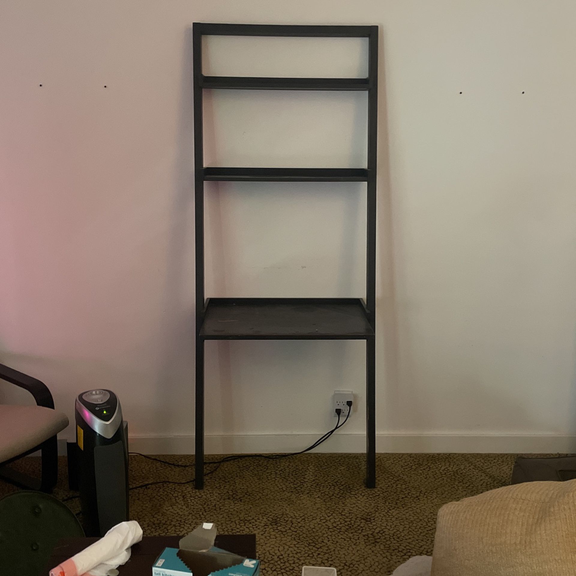 FREE Ladder Bookcase / Shelf