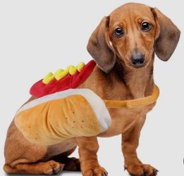 Dog costume Hotdog size small