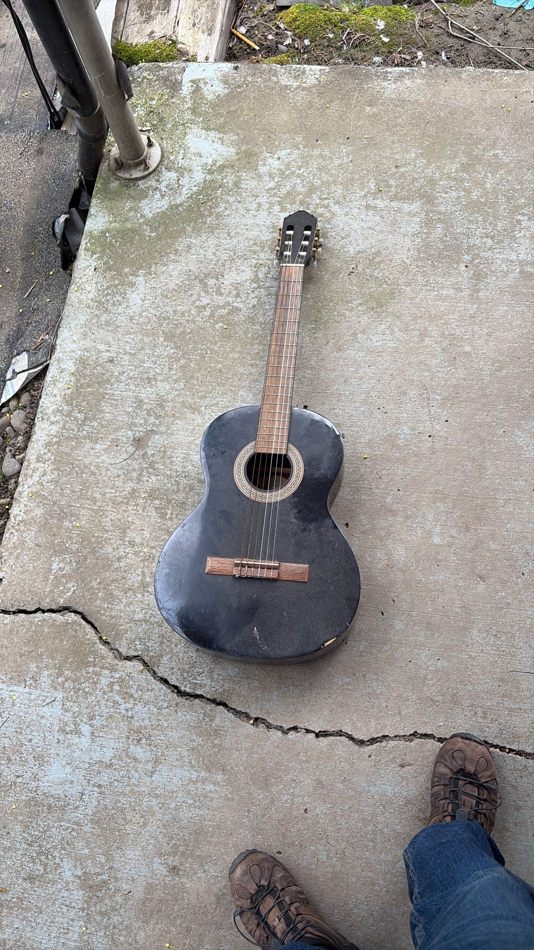 Guitar