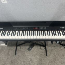 Alesis Coda Pro 88-Key Digital Piano — Excellent Condition