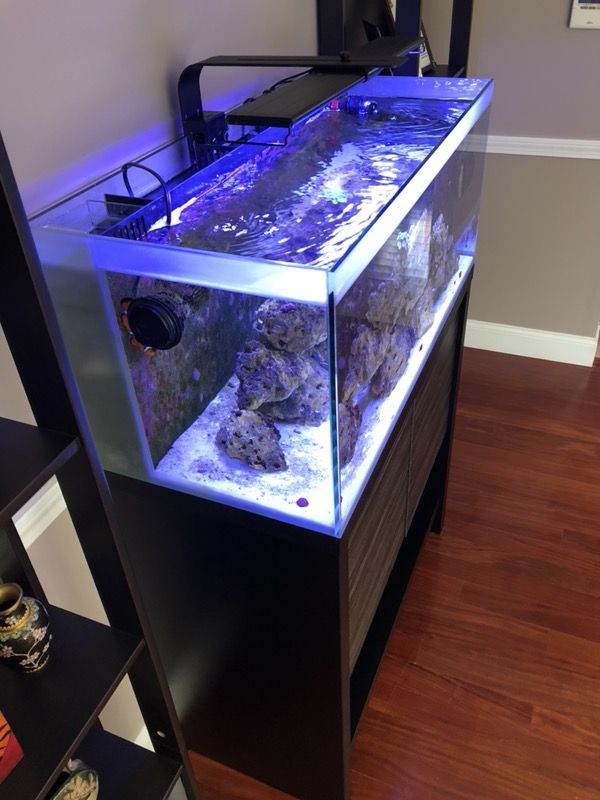 Fluval m90 Marine Tank