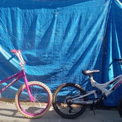 2 Girl Bikes