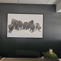 Arhaus Framed Canvas