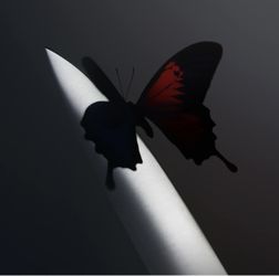 Postmalone Twelve Carat Toothache Vinyl