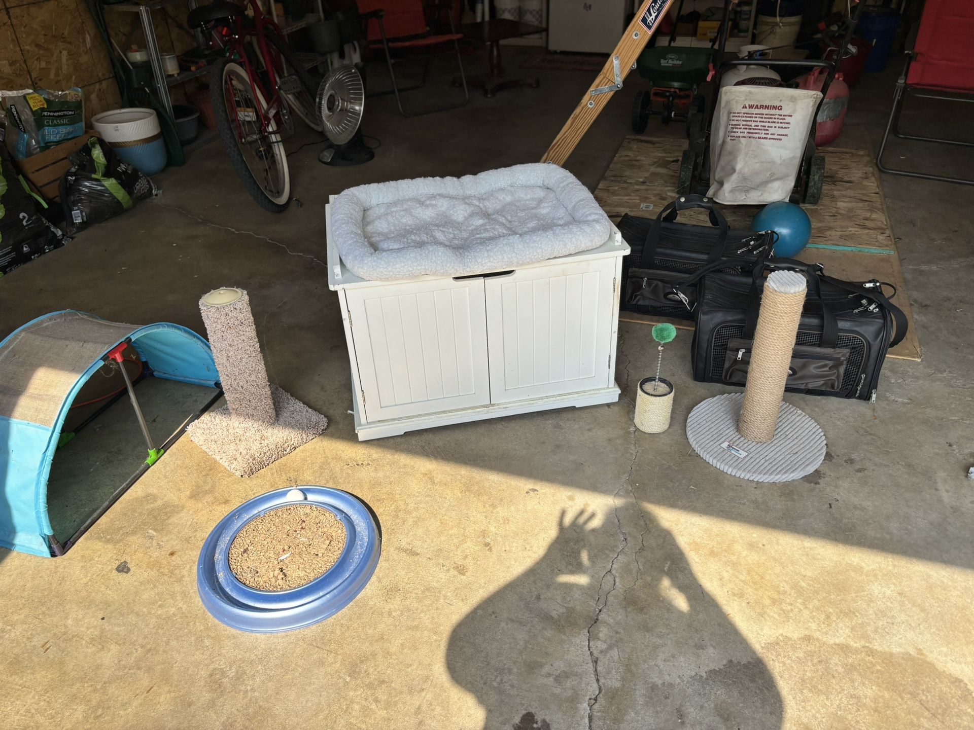 Cat Supplies
