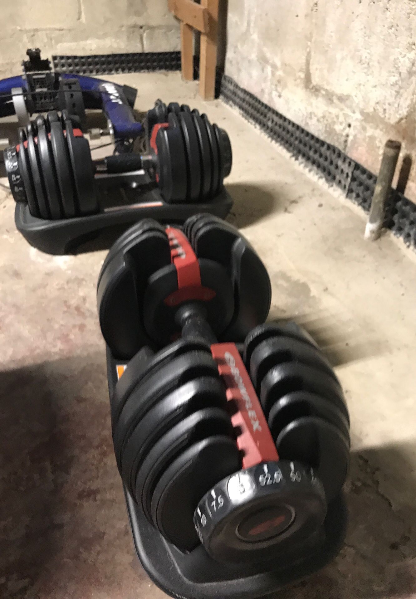 Bowflex adjustable weights