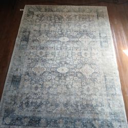 Green 5x7 Rug! 