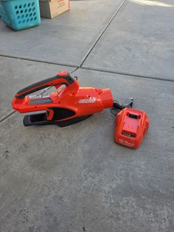 Echo Cordless Leaf Blower with Charger
