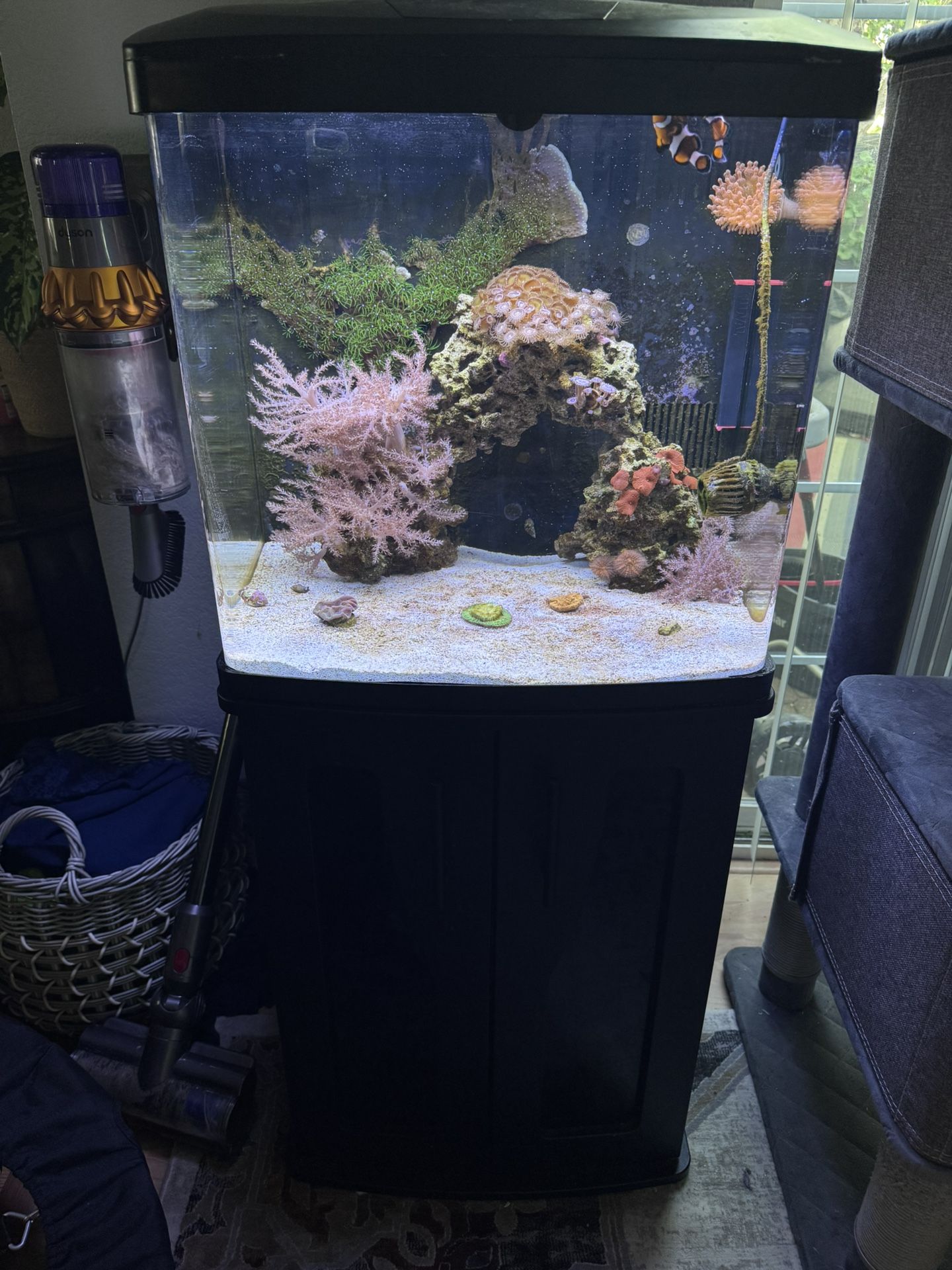 Reef Aquarium With Supplies