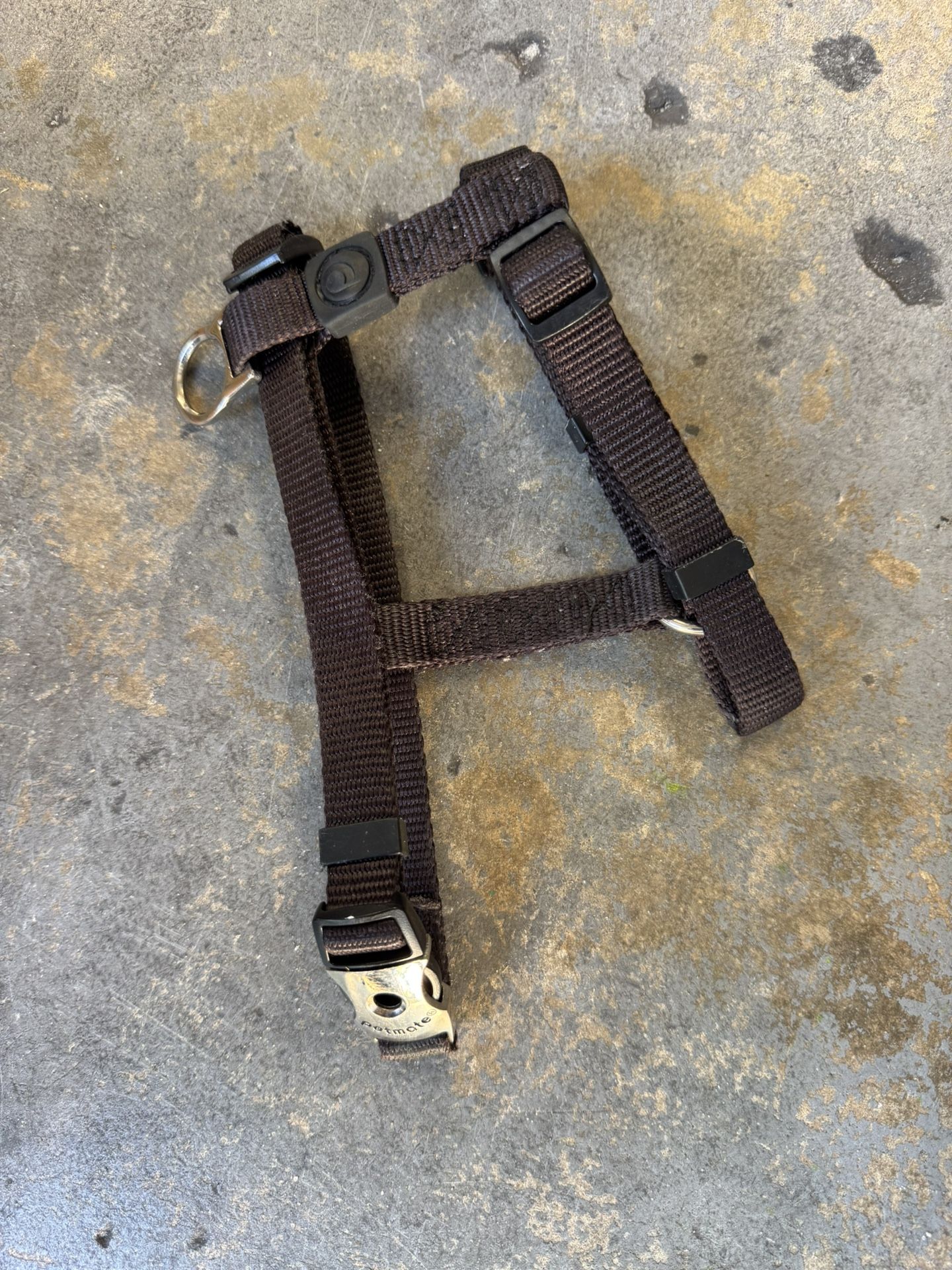 Dog Harness
