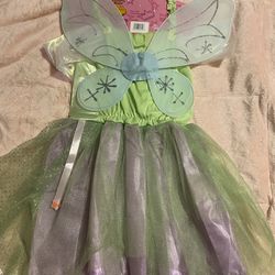 Fairy Dress Up costume 