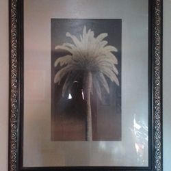 Palm Tree Frames 3 Ft X 4 Ft