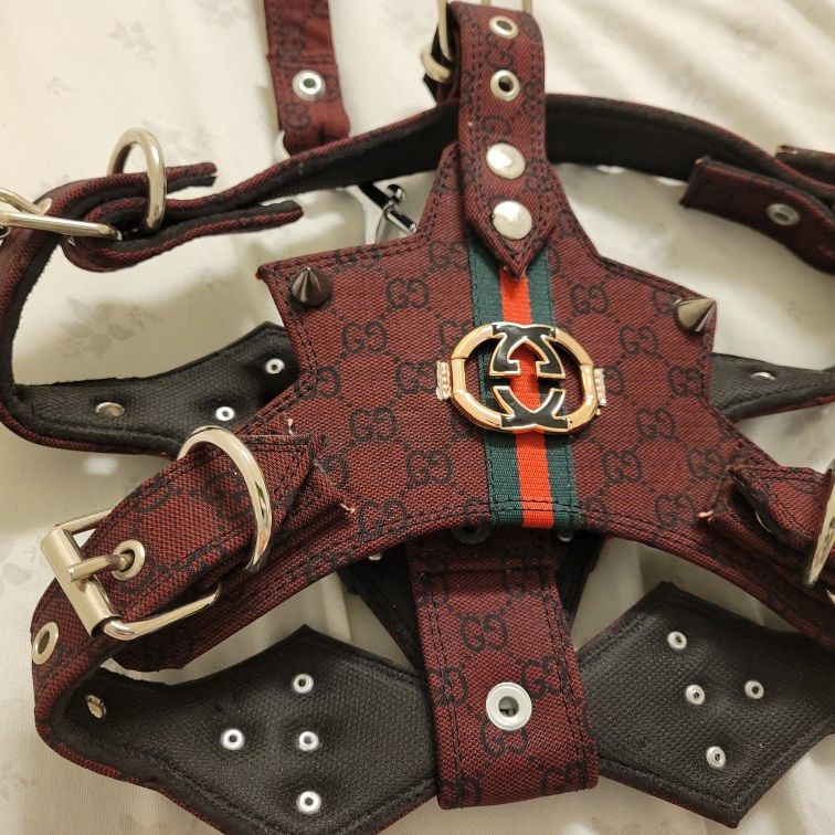 Spiked Gucci Dog Harness (Medium) W/ Leash for Sale in Addison, TX - OfferUp