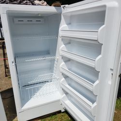Stand Up Freezer 
