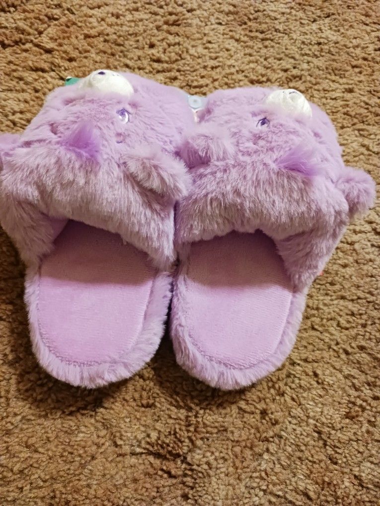 Care Bears Slippers Size 11