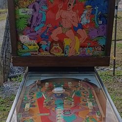 Pinball Machine