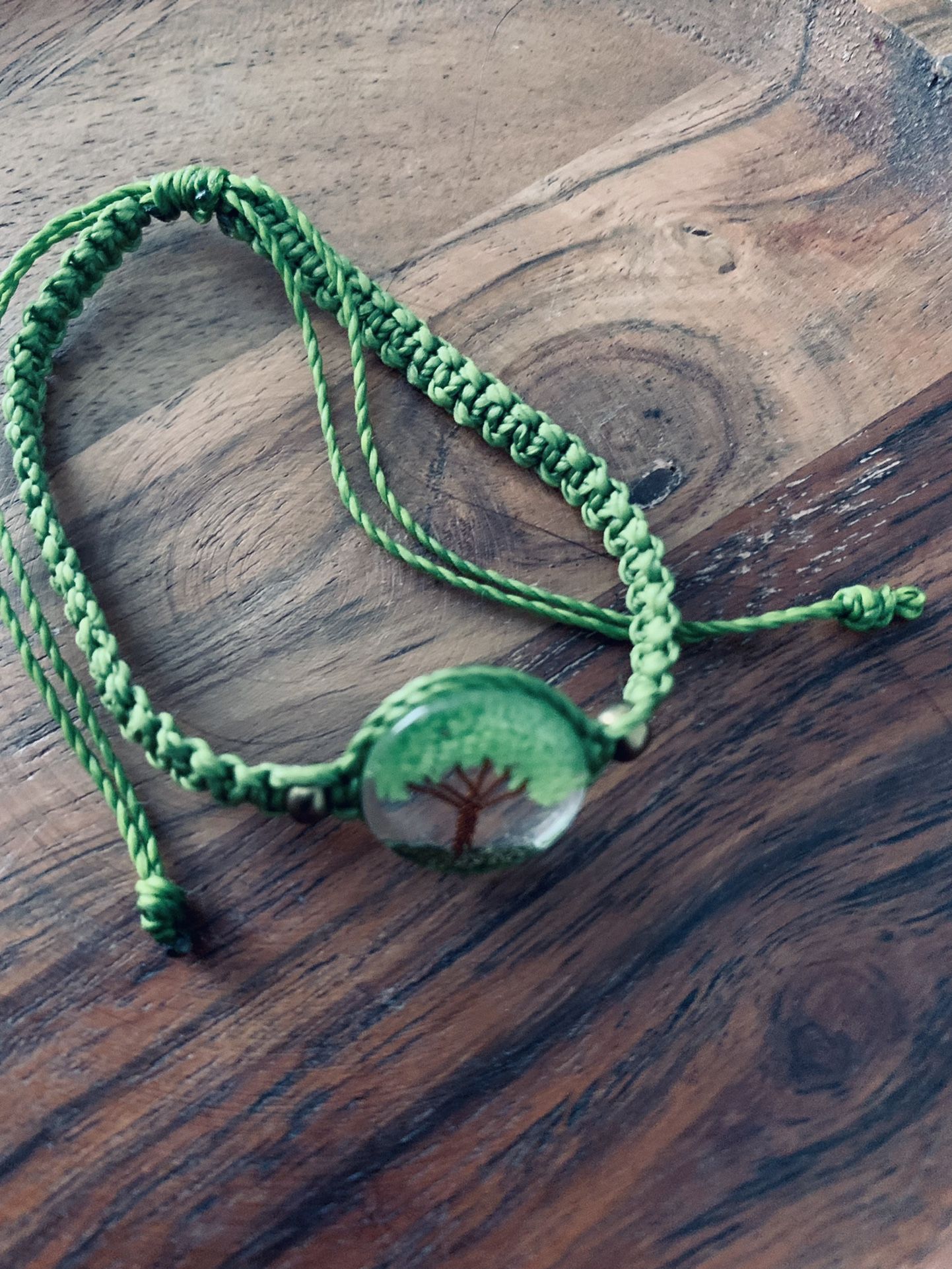 Bracelet/Anklet