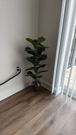 Artificial plant