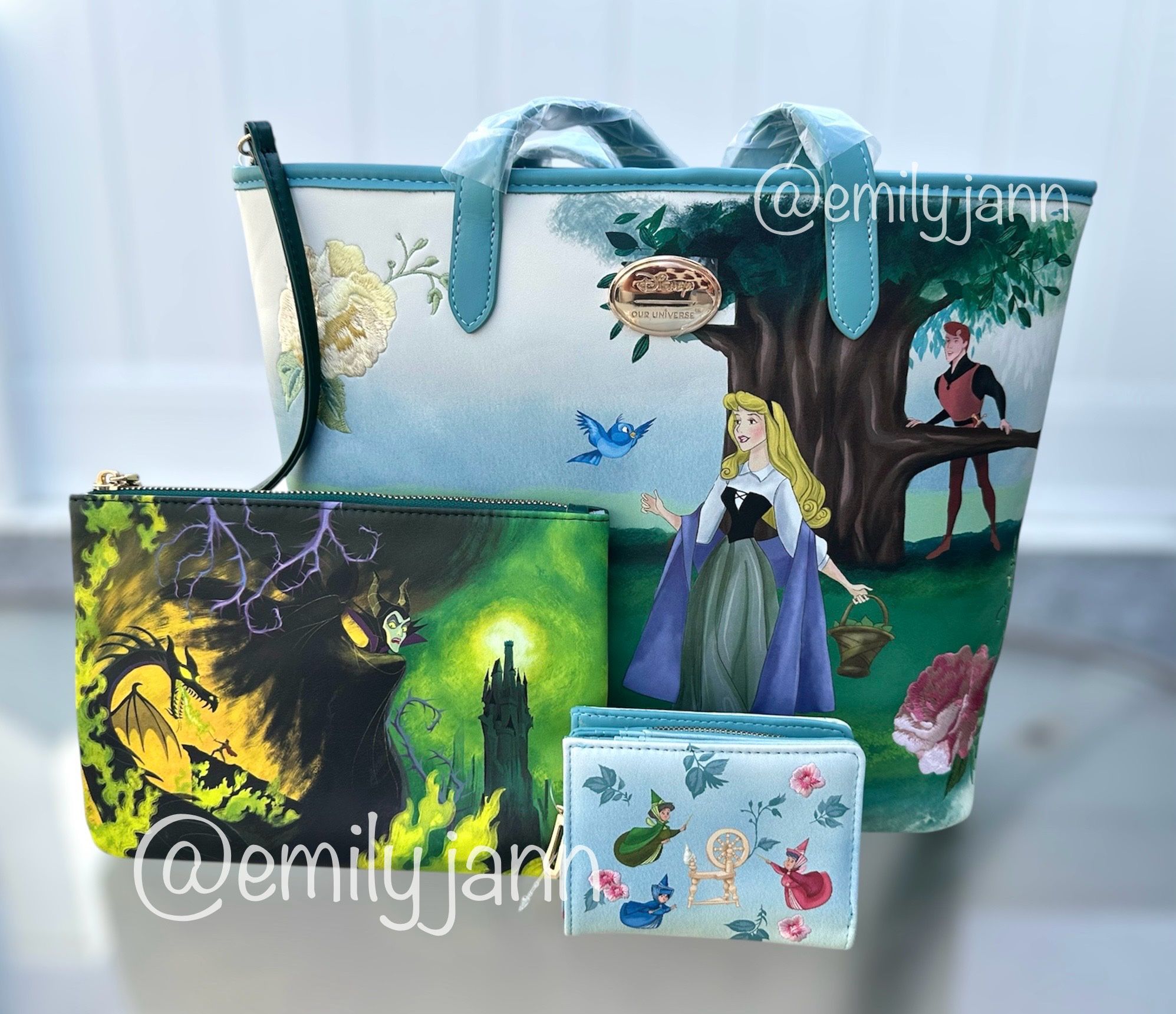 Sleeping Beauty Handbag Set