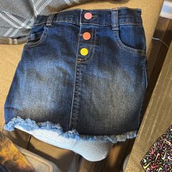 Girls Skirt 3t