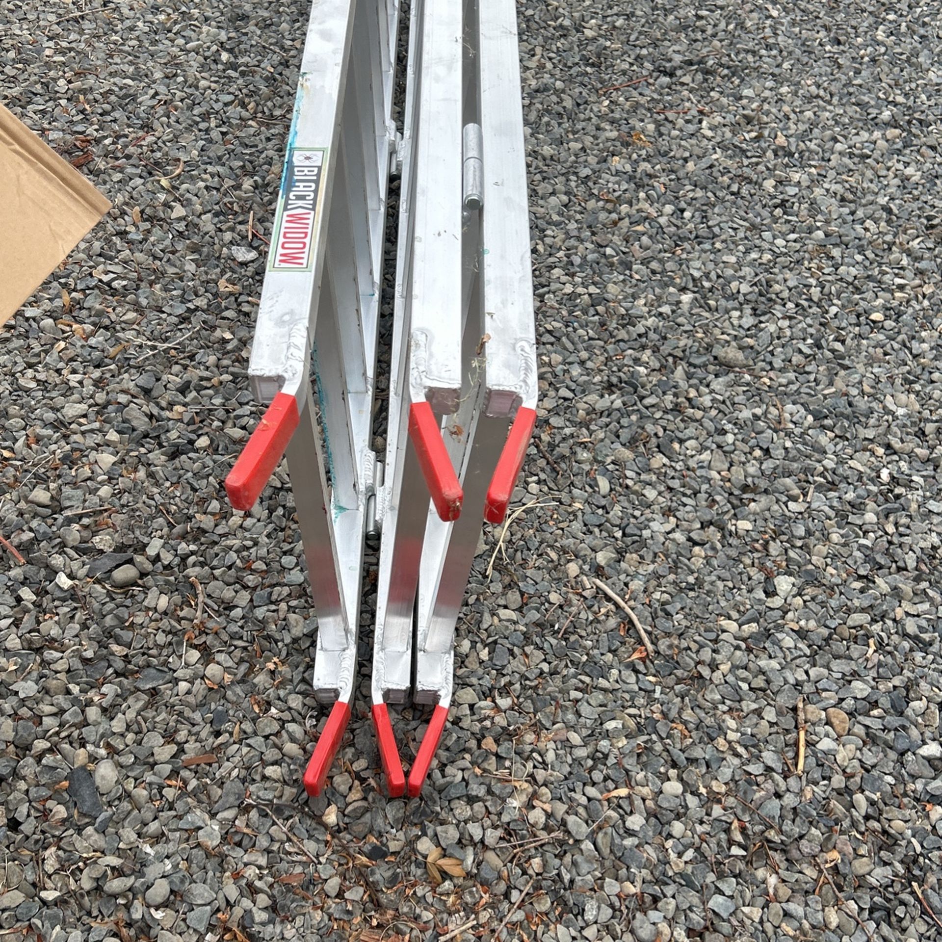 Blackwidow Ramp