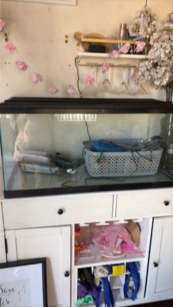 40 gallon terrerium/fish tank