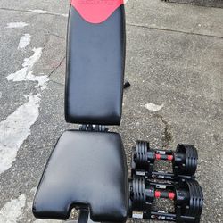 Weights And Bench 