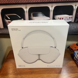 AirPod Pro Max Silver