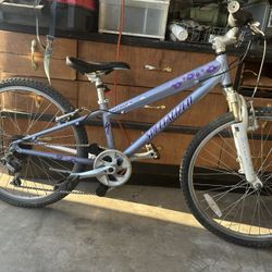 Girls Youth Specialized Mountain Bike