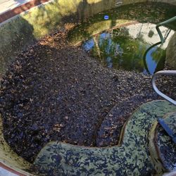 Pool Plastering Remodelacion 