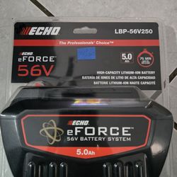 Echo E force 56 V battery (LBP-56V250)