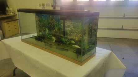 55 Gal. Fish tank