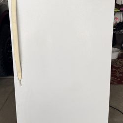 Stand Up Freezer 