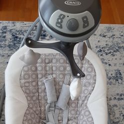 Graco Baby Swing