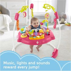 Fisher-Price Jumperoo Baby Activity Center with Lights Music and Baby Toys, Pink Petals