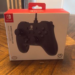Nintendo Switch Controller 
