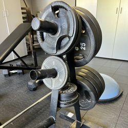 Plate Rack with Weights 