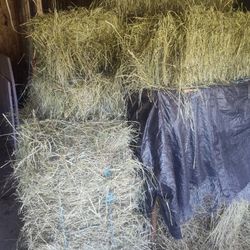 6 Bales Grass Hay