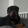 Spencer