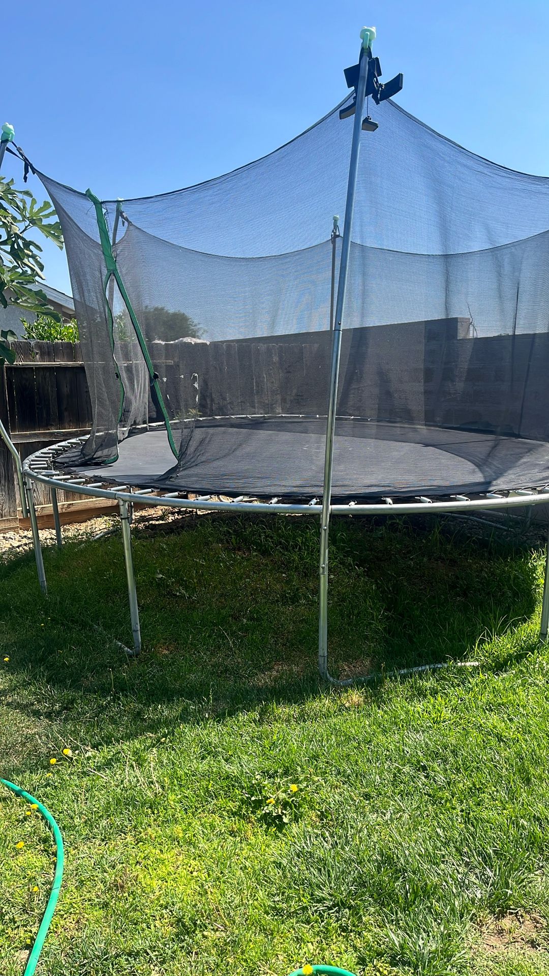 Trampoline