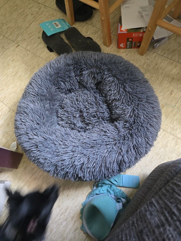 Dog Bed