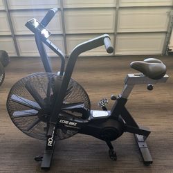 ROGUE Echo Bike