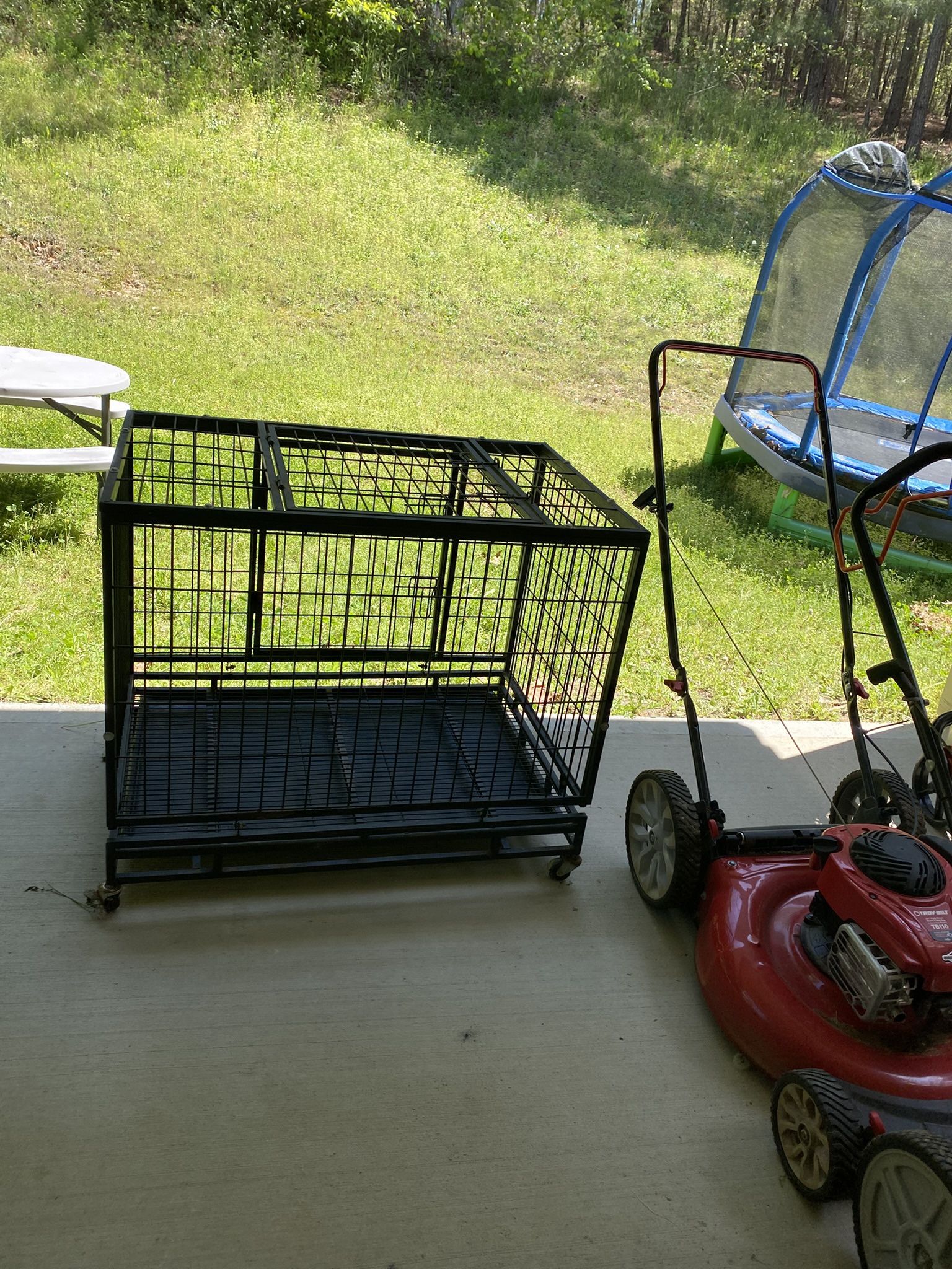 Dog Cage