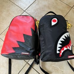 2 Backpacks Both Have Laptop And Sunglasses Pocket