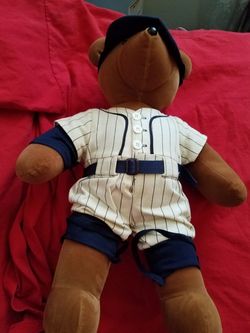 North American teddy bear